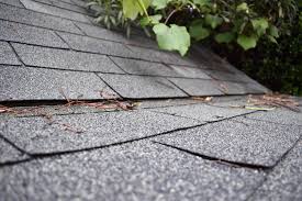 What are the Main Disadvantages of Shingle Roofing?