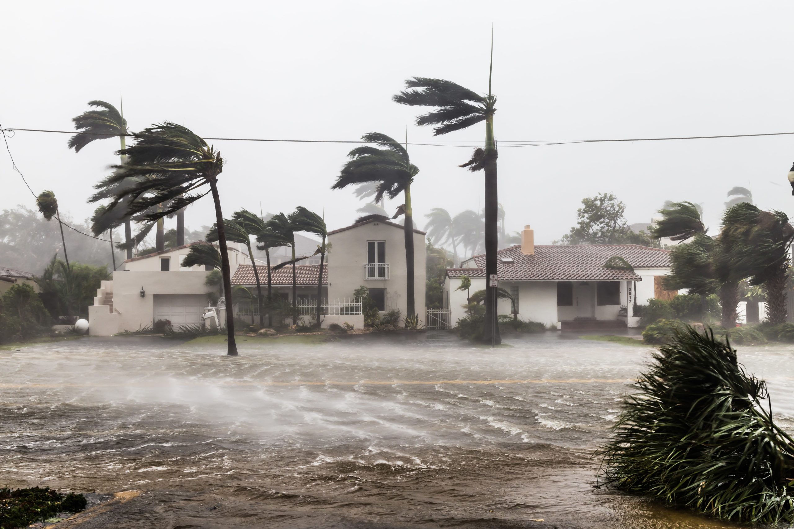 Best Roofing Style and Material for Hurricane Winds in Florida