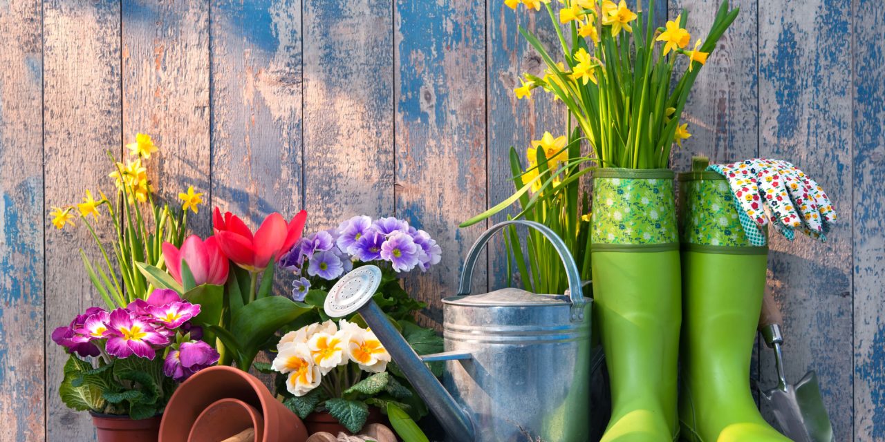 Spring Gardening Checklist – with Infographic