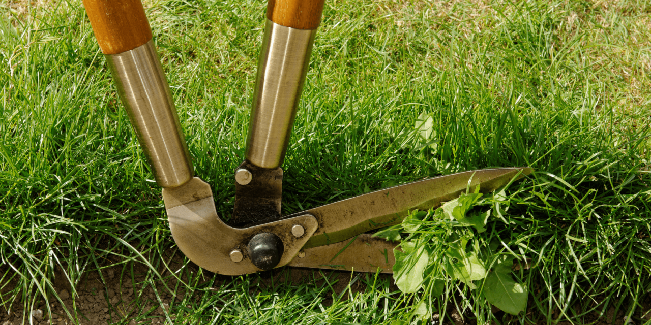 https://www.rpsmetalroofing.com/wp-content/uploads/2023/03/landscape-edging-1280x640.png
