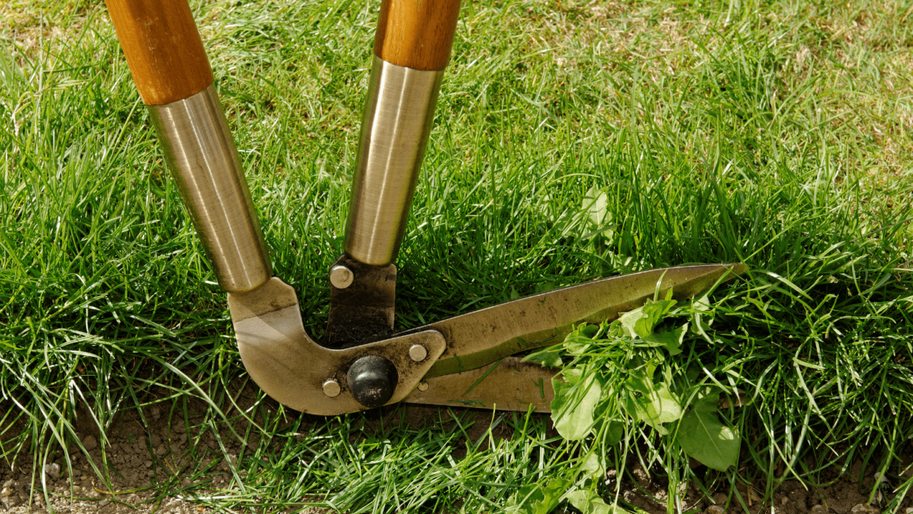https://www.rpsmetalroofing.com/wp-content/uploads/2023/03/landscape-edging-1280x721.png