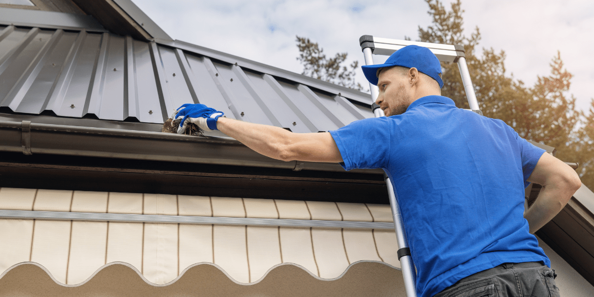 5 Best Ladders for Roofing Work