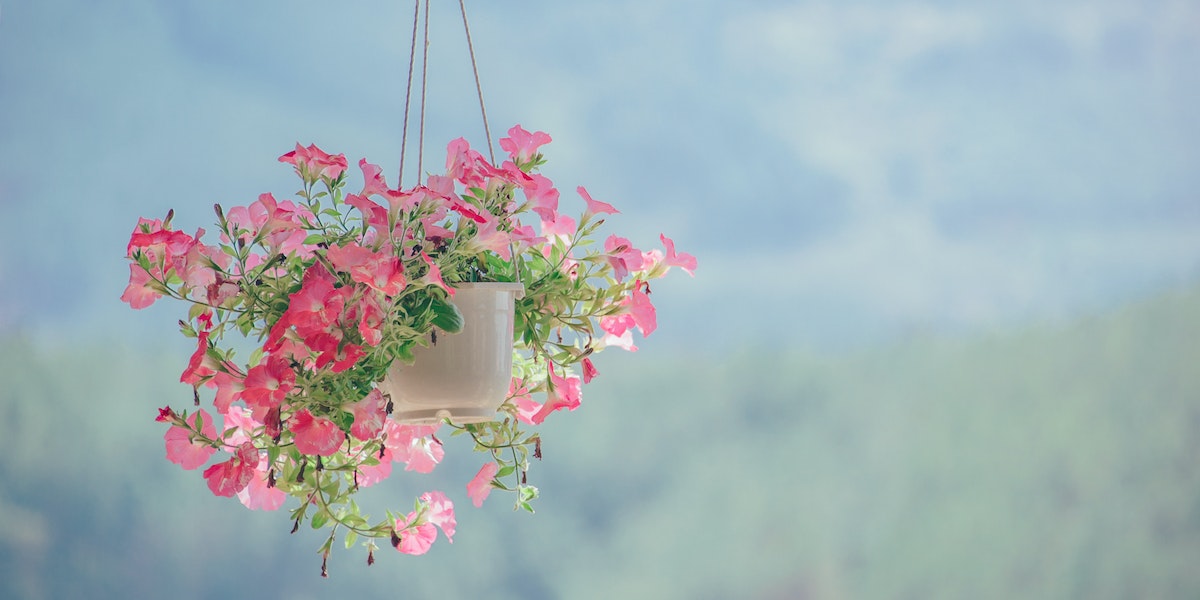 How To Hang Plants From Aluminum Patio Covers