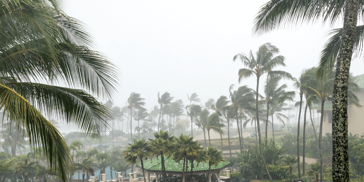 How to Secure Your Roof for a Hurricane