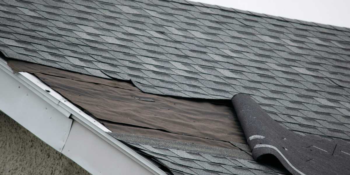 https://www.rpsmetalroofing.com/wp-content/uploads/2023/09/roofing-shingles-environment.png