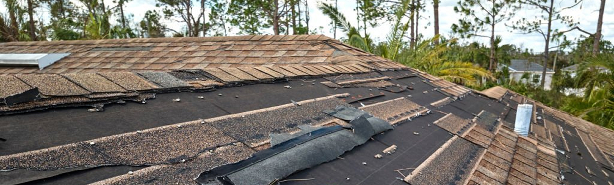 Image showcasing a damaged roof