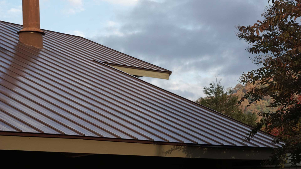 Image showcasing a metal roof
