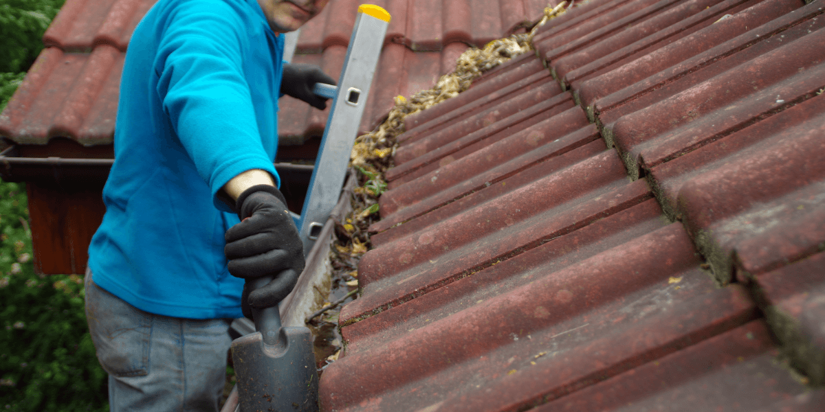 Gutter scoops